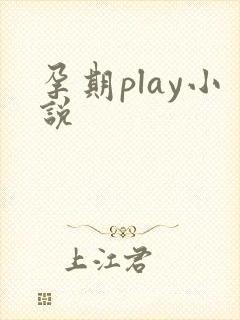 孕期play小说封面