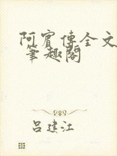 阿宾传全文阅读 笔趣阁封面