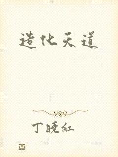造化天道封面