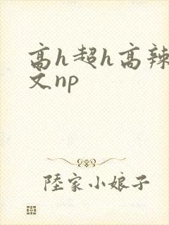 高h超h高辣h文np封面