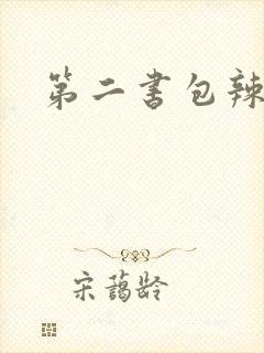 第二书包辣文
