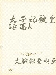 太子妃被皇上强睡高h