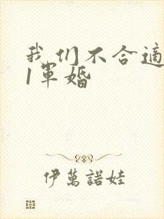 我们不合适1v1军婚