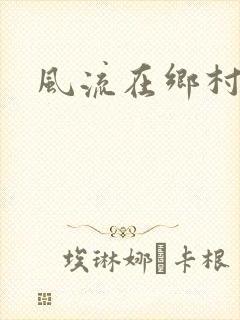 风流在乡村封面