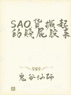 SAO货撅起你的贱屁股来