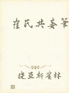 崔氏共妾笔趣阁封面