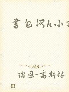 书包网h小说