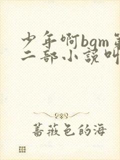 少年啊bgm第二部小说叫什么
