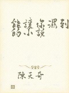 能让你湿到不行的小说