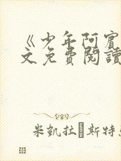 《少年阿宾》全文免费阅读封面