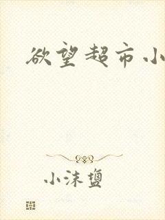 欲望超市小说