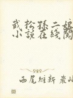 武松孙二娘云雨小说在线阅读