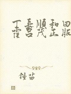 丁长顺和田晓兰霍吕茂正版封面