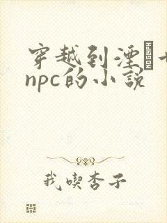 穿越到湮婸世界npc的小说封面