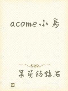 acome小鸟