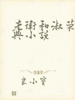 老卫和淑荣的经典小说