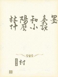 林阳和秦墨浓是什么小说封面