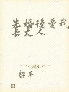 先婚后爱我的市长大人