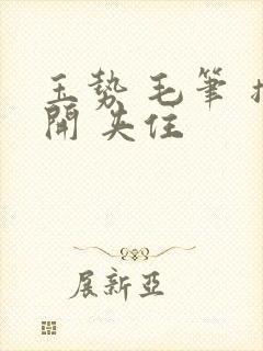 玉势 毛笔 撑开 夹住封面