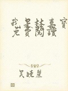 我是林喜宝小说免费阅读封面