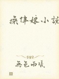 操伴娘小说封面