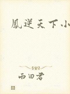 凤逆天下小说封面