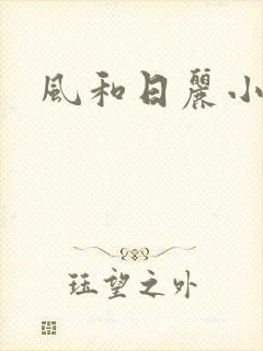 风和日丽小说