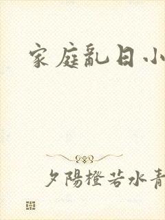 家庭乱日小说