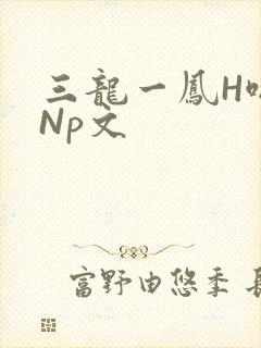 三龙一凤H啪肉Np文