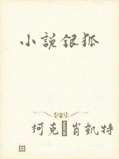 小说银狐