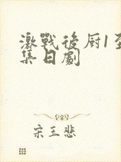 激战后厨1至5集日剧