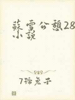 苏雪公憩28篇小说封面