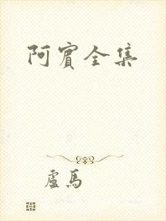 阿宾全集封面
