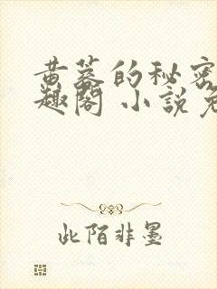 黄蓉的秘密 笔趣阁 小说免费阅读下载