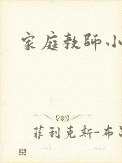 家庭教师小说封面