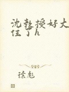 沈教授好大含不住了h