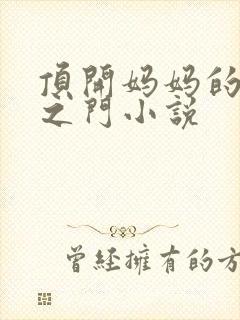 顶开妈妈的生命之门小说