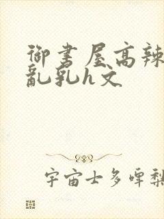 御书屋高辣h文乱乳h文