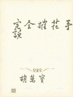完全摧花手册小说封面