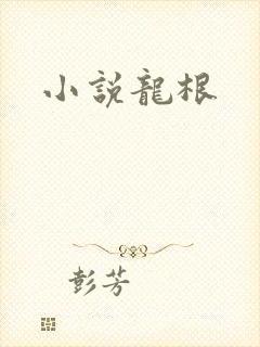 小说龙根封面