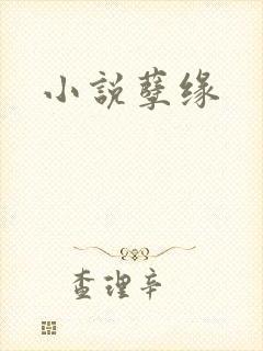 小说孽缘