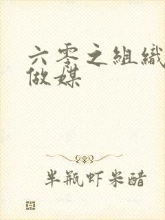 六零之组织给我做媒