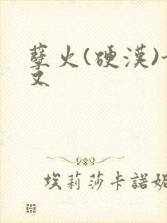 孽火(硬汉)今又