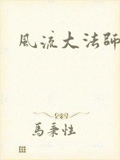 风流大法师封面