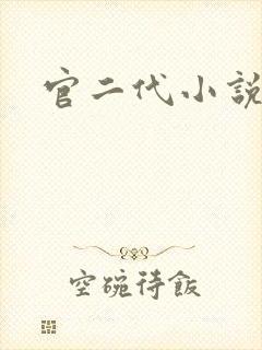 官二代小说封面