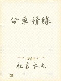 公车情缘封面