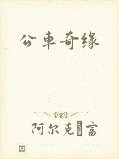 公车奇缘