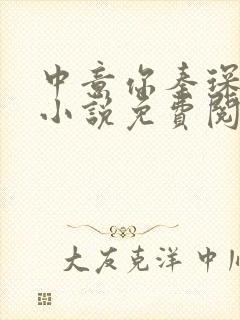 中意你秦琛苏沫小说免费阅读封面