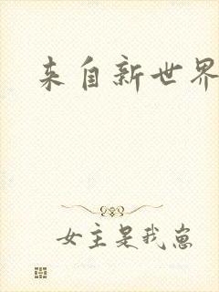 来自新世界小说封面