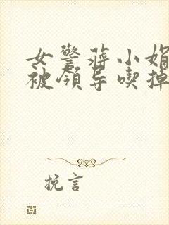 女警蒋小娟的奶被领导吃掉了封面